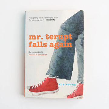 Mr. Terupt Falls Again by Bob Buyea