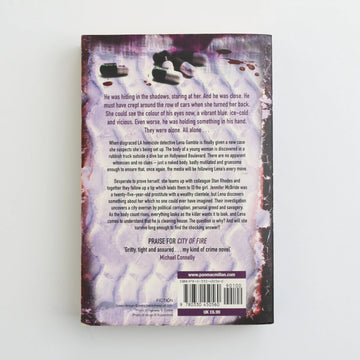 The Lost Witness by Robert Ellis - 0