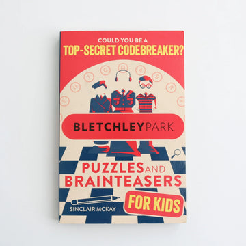 Puzzles and Brainteasers by Bletchley Park