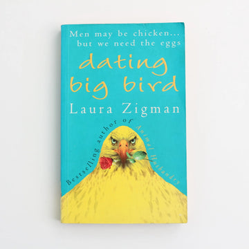 Dating Big Bird by Laura Zigman