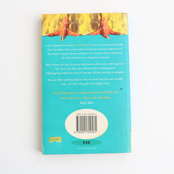 Dating Big Bird by Laura Zigman