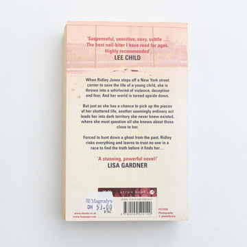 Beautiful Lies by Lisa Unger - 0