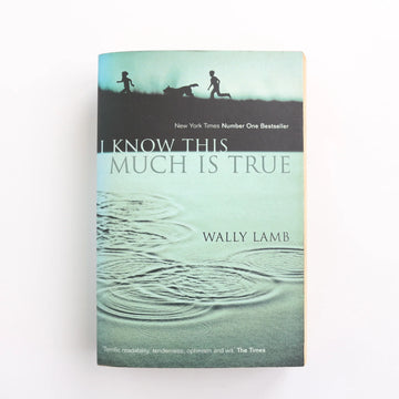 I Know This Much is True by Wally Lamb