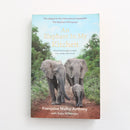 An Elephant in my Kitchen by Francoise Malby-Anthony-1