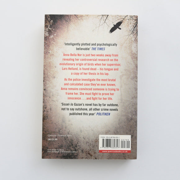 The Dinosaur Feather by Sissel-Jo Gazan